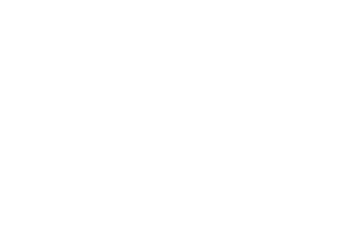 Aimsace